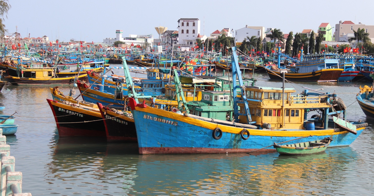 L&acirc;m Đồng mở cao điểm siết IUU, chặn t&agrave;u c&aacute; vi phạm ngay từ trong bờ