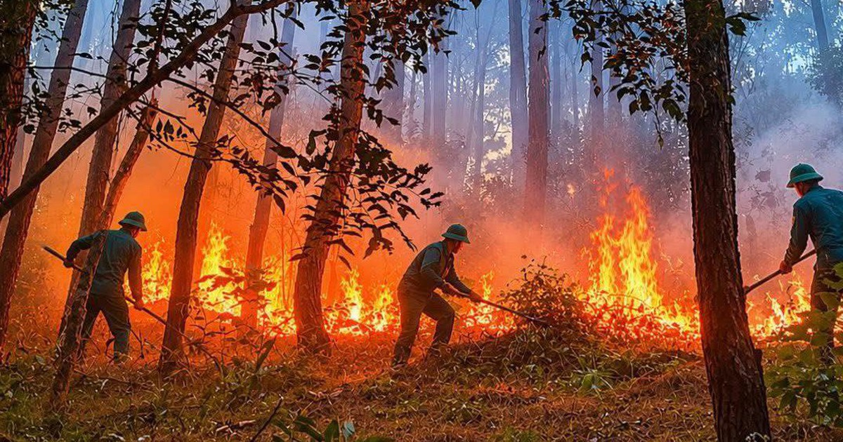 Huế: Công an tìm nhóm người cắm trại gây ra vụ cháy rừng ở núi Tam Thai