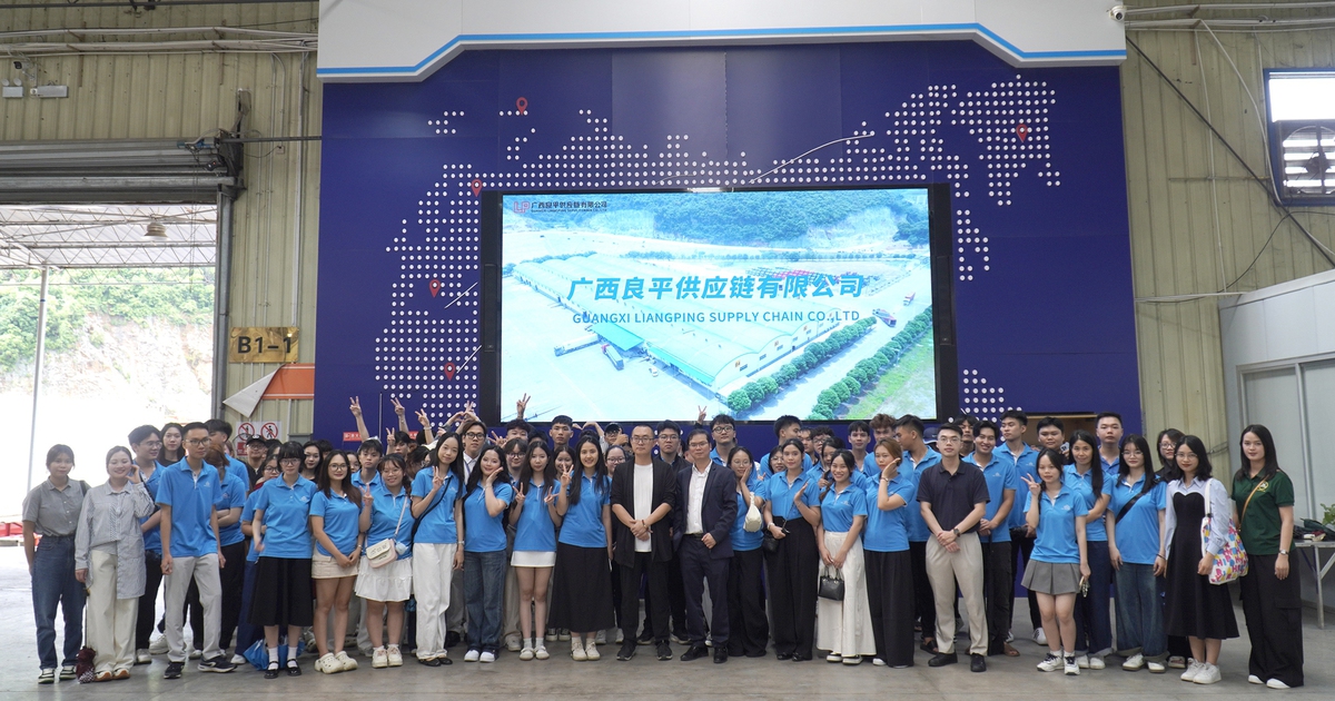 Mức lương ngành logistics cho sinh viên mới ra trường là bao nhiêu?
