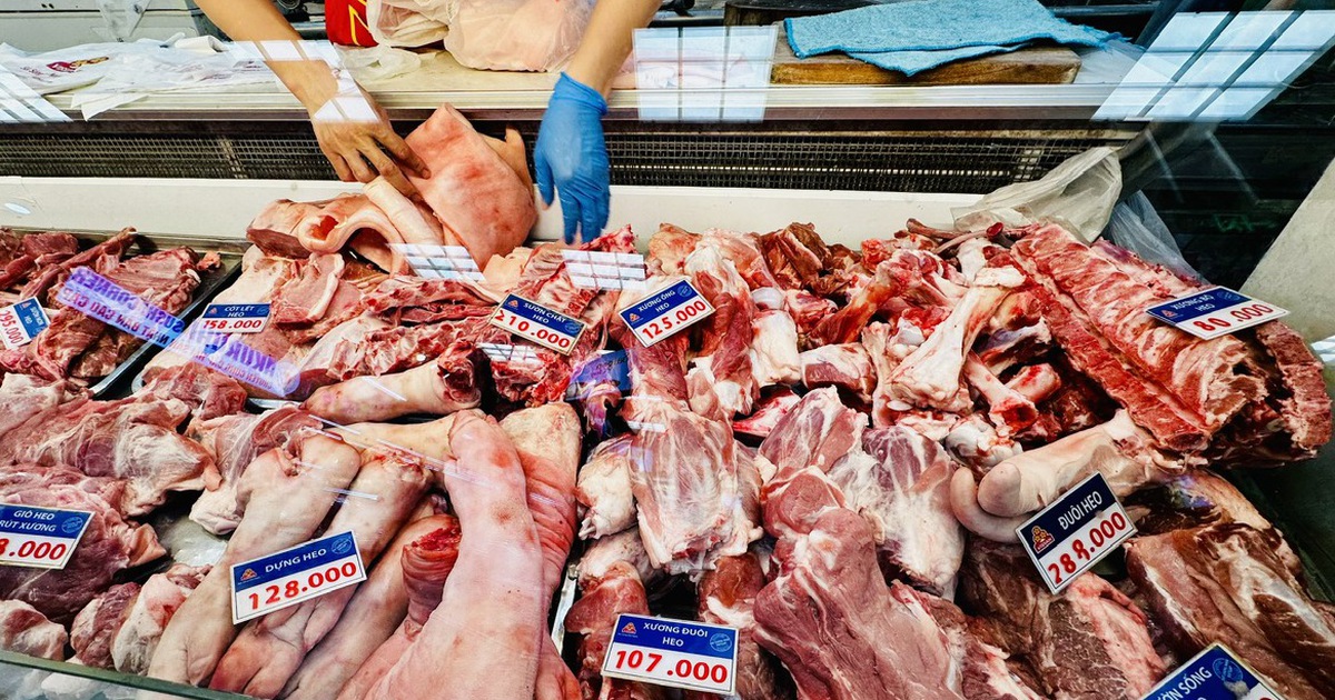 Giá heo hơi hôm nay 4.6.2026: Giảm nhẹ, chăn nuôi nhỏ lẻ khó khăn