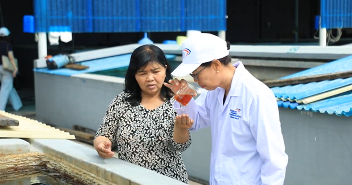 Nam Ngư đảm bảo nguồn cung, đầu tư công nghệ gia tăng lợi ích cho người dùng