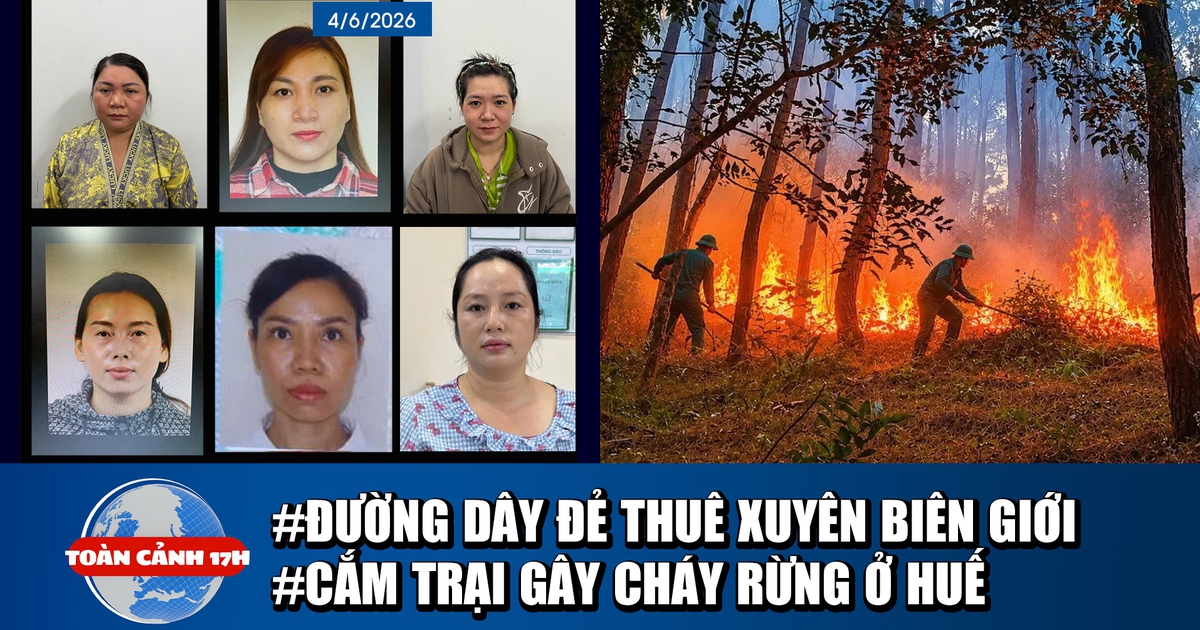 Toàn cảnh 17h: Vén màn bà trùm đường dây đẻ thuê xuyên biên giới | Nhóm cắm trại gây cháy rừng ở Huế