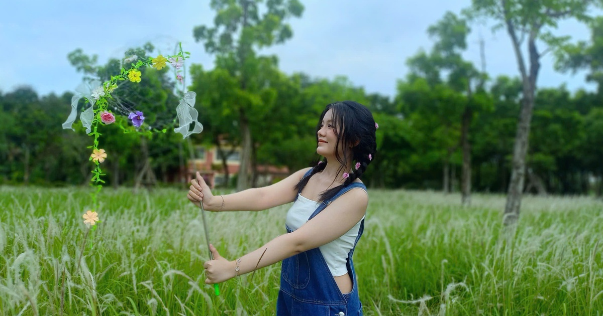 Đẹp như phim, đồi cỏ lau giữa TP.HCM đang khiến giới trẻ phát sốt
