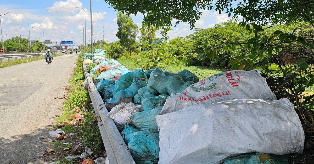 3 ngày thu gom hơn 60 tấn rác ở TP.HCM: Vỏ dừa chất đống dài cả trăm mét