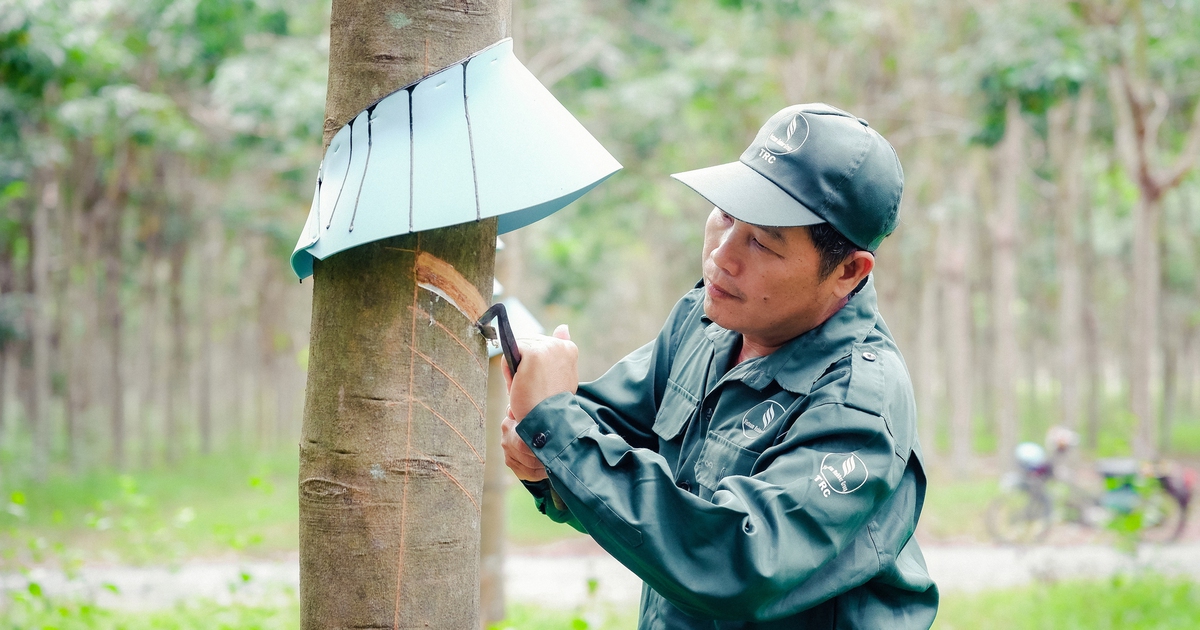 VRG: Khát vọng tăng trưởng hai con số kiến tạo không gian phát triển mới