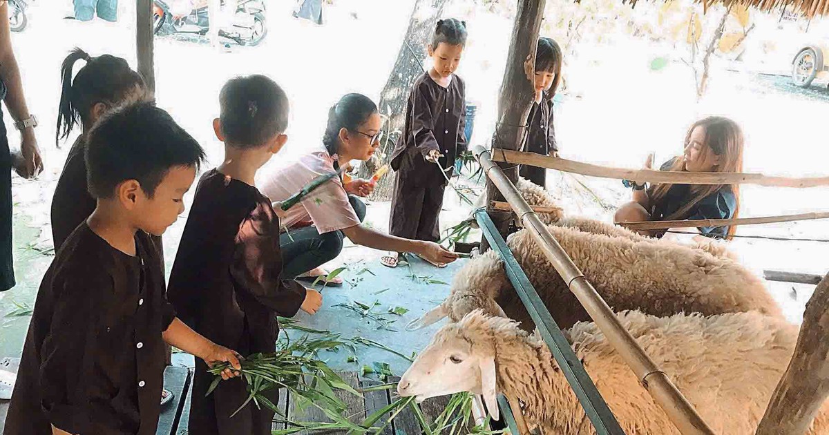 Những nông trại giữa lòng TP.HCM khiến người trẻ say đắm