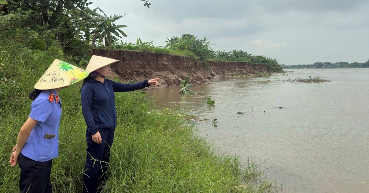 Viện KSND Hưng Yên kiến nghị khẩn cấp về tình trạng sạt lở nghiêm trọng bờ sông Hồng
