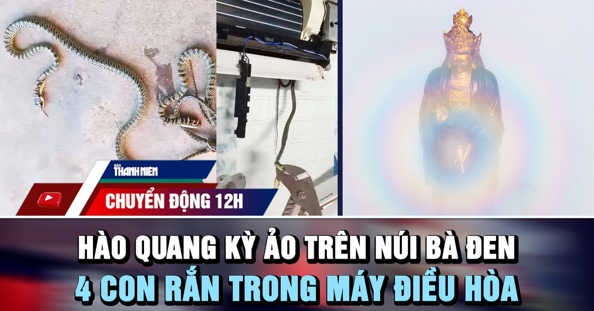Chuyển động 12h: Hào quang kỳ ảo quanh tượng Phật núi Bà Đen | 4 con rắn trong máy điều hòa