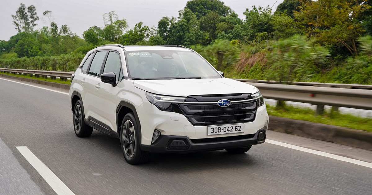 subaru-forester-trieu-hoi-thanhnien-2-1780827791555570818767-0-3-637-1022-crop-1780827796282210799222.jpg