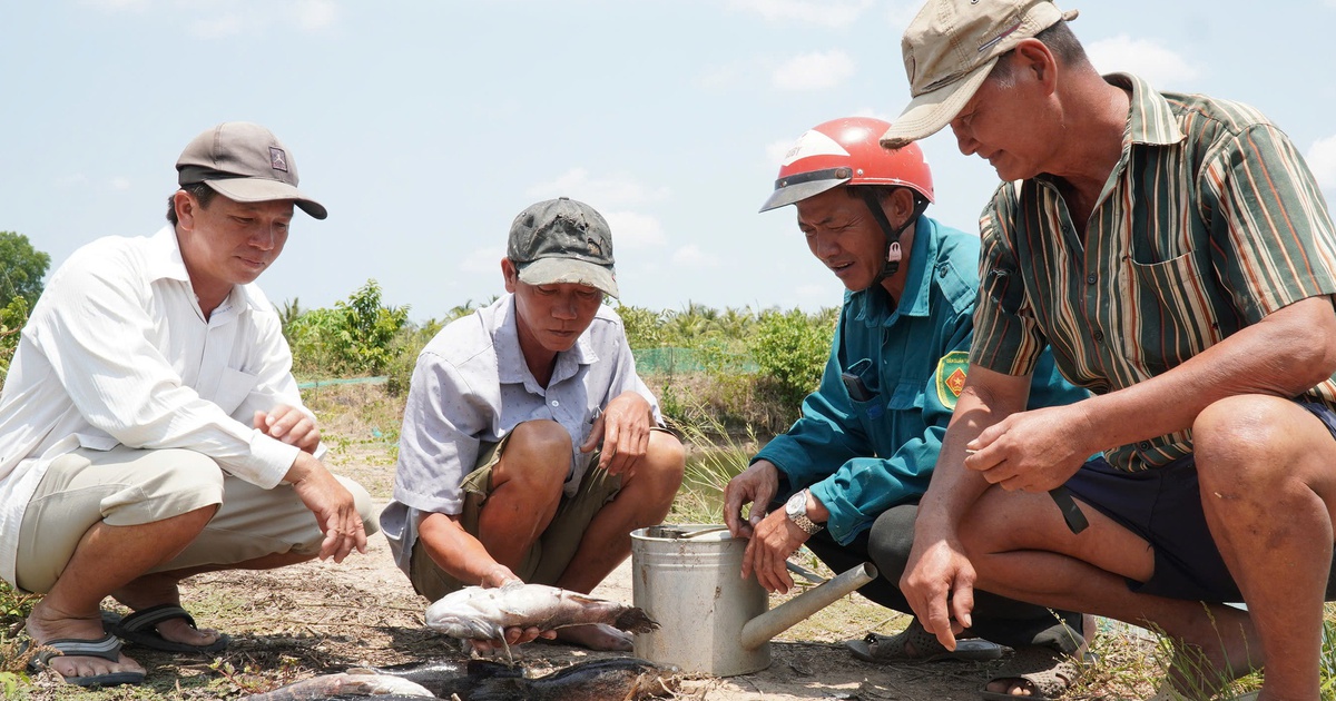 Cá chết hàng loạt: Người dân chưa chấp nhận mức hỗ trợ từ đơn vị thi công