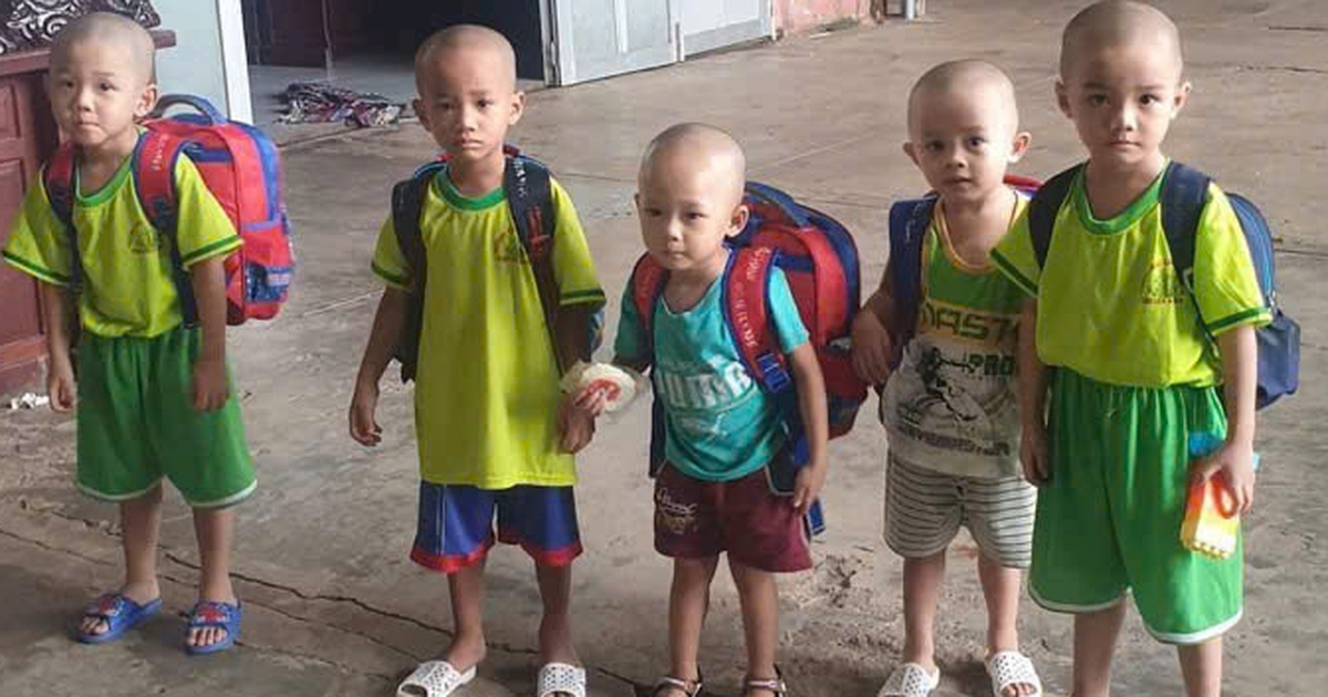 Người gieo mầm xanh trên đất biển