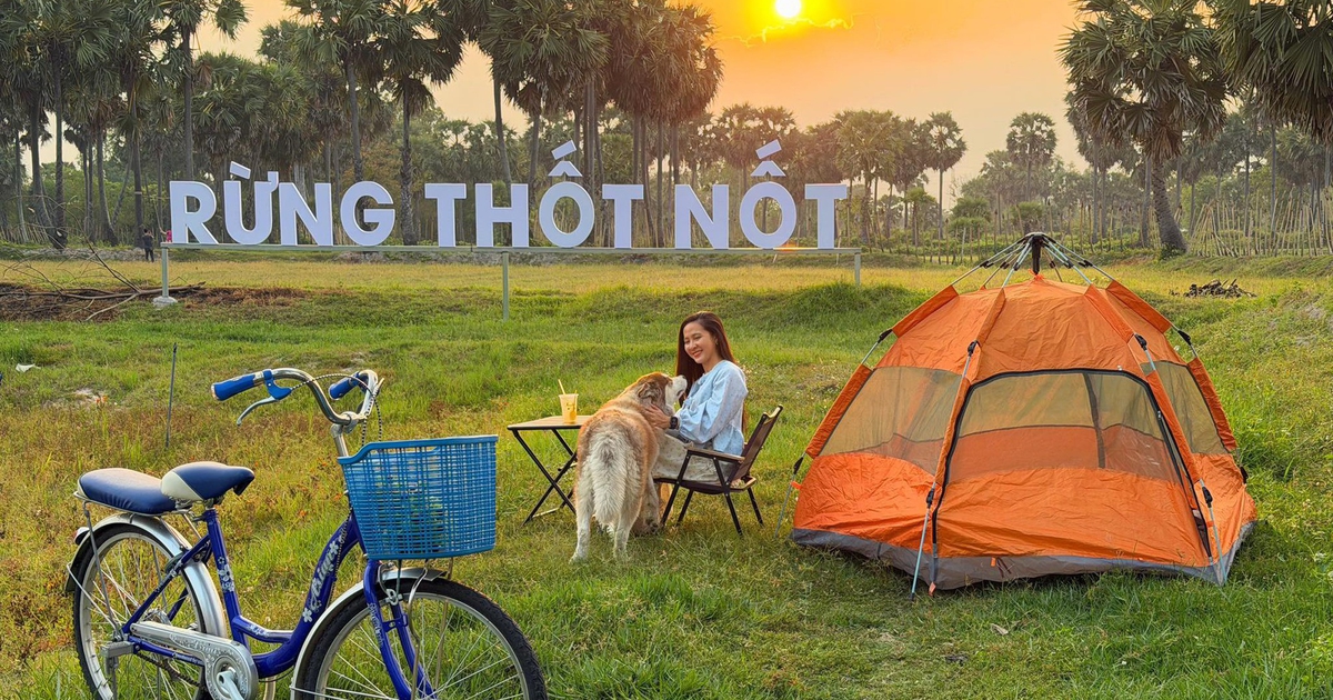 Biến rừng thốt nốt hoang sơ thành điểm du lịch độc đáo ở vùng Bảy Núi