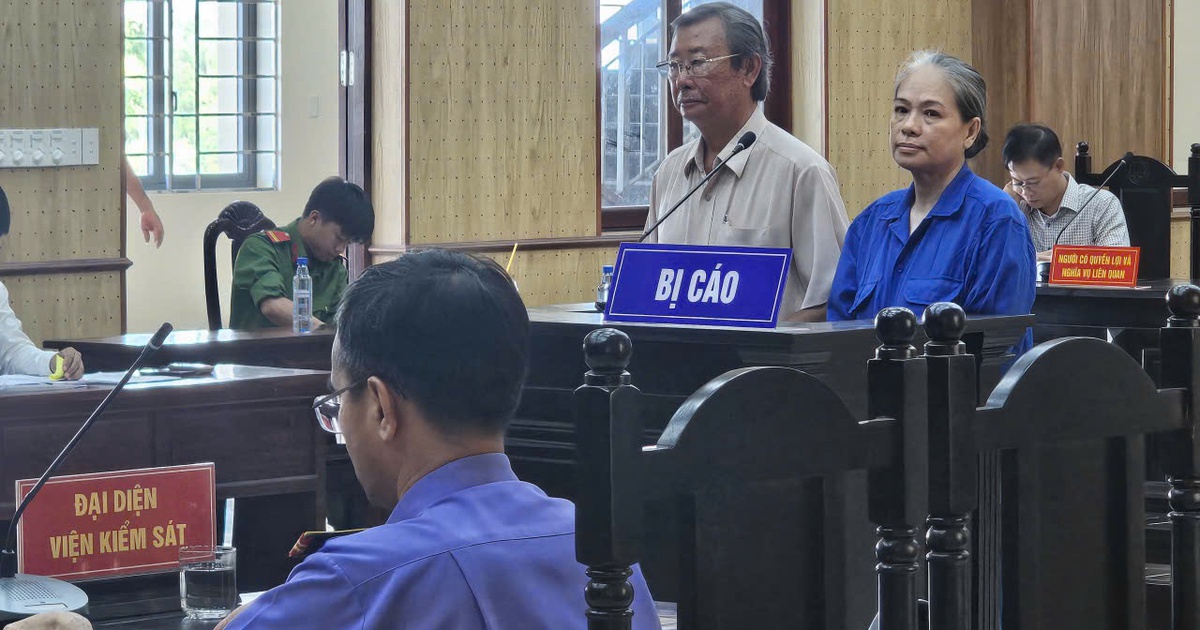 TP.HCM: Vợ chồng cựu gi&aacute;m đốc sở nội vụ l&atilde;nh &aacute;n t&ugrave; về tội lừa đảo