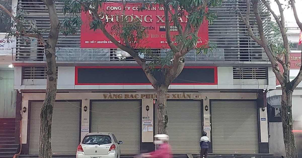 Hà Tĩnh: Khởi tố chủ tiệm vàng bạc trốn thuế