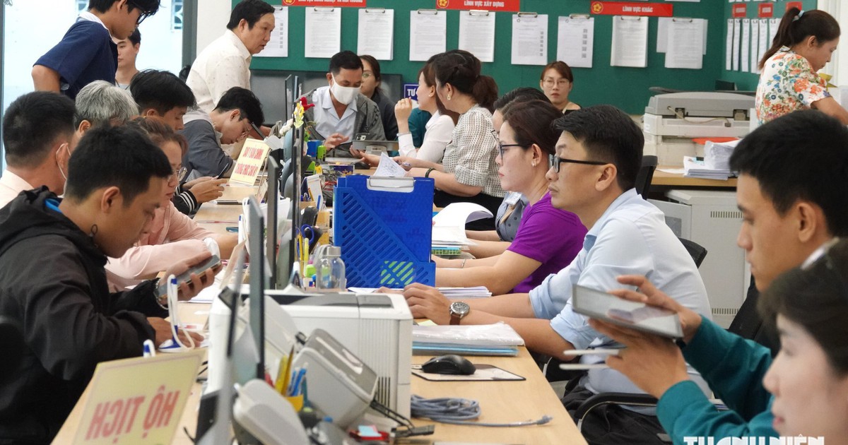 TP.HCM giảm hơn 5.900 người hoạt động kh&ocirc;ng chuy&ecirc;n tr&aacute;ch ở khu phố, ấp