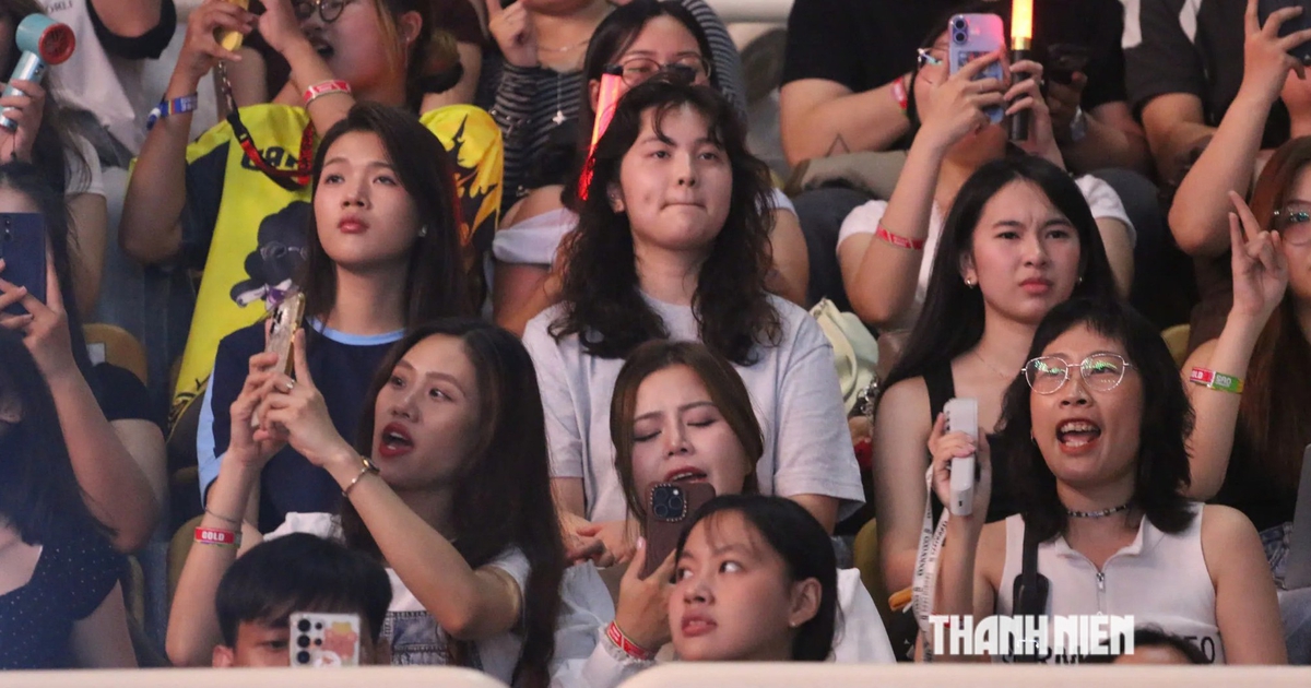 Xếp hàng từ chiều, chi tiền triệu: Sức hút nào khiến người trẻ mê concert?