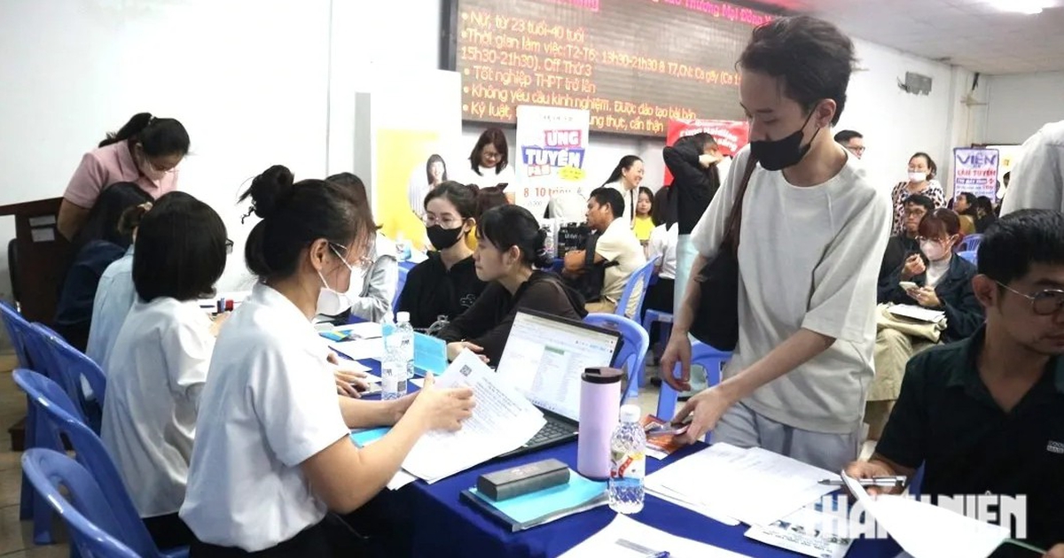 Hơn 13.700 việc làm trống tại TP.HCM: Thu nhập tới 39 triệu đồng/tháng