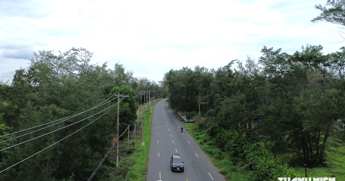 Vì sao gần 90 ha đất vàng ven biển Phước Hải 'bất động' hơn 20 năm?