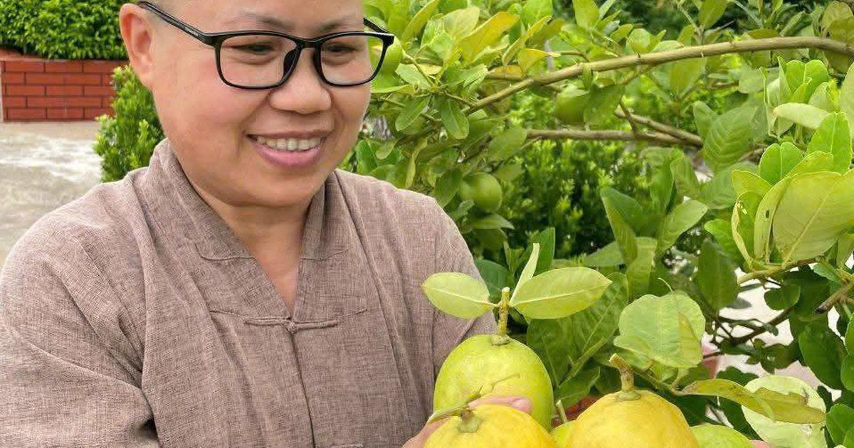 Người gieo mầm thiện nguyện nơi cửa thiền