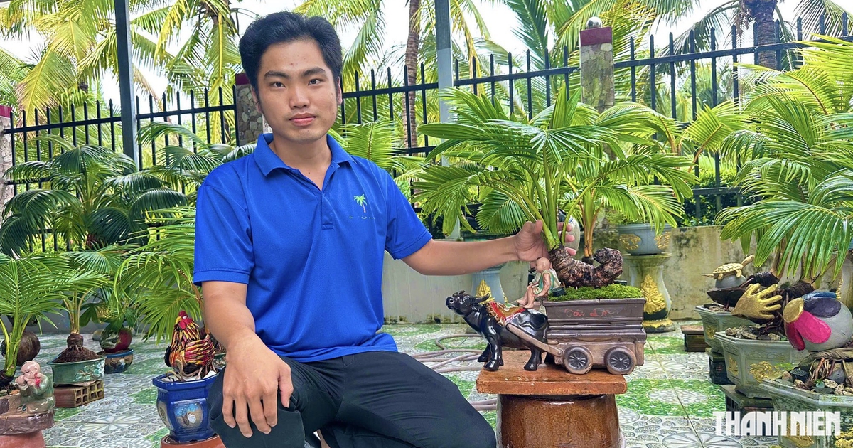 Bonsai dừa khô giá 2 triệu đồng của chàng trai miền Tây có gì đặc biệt?