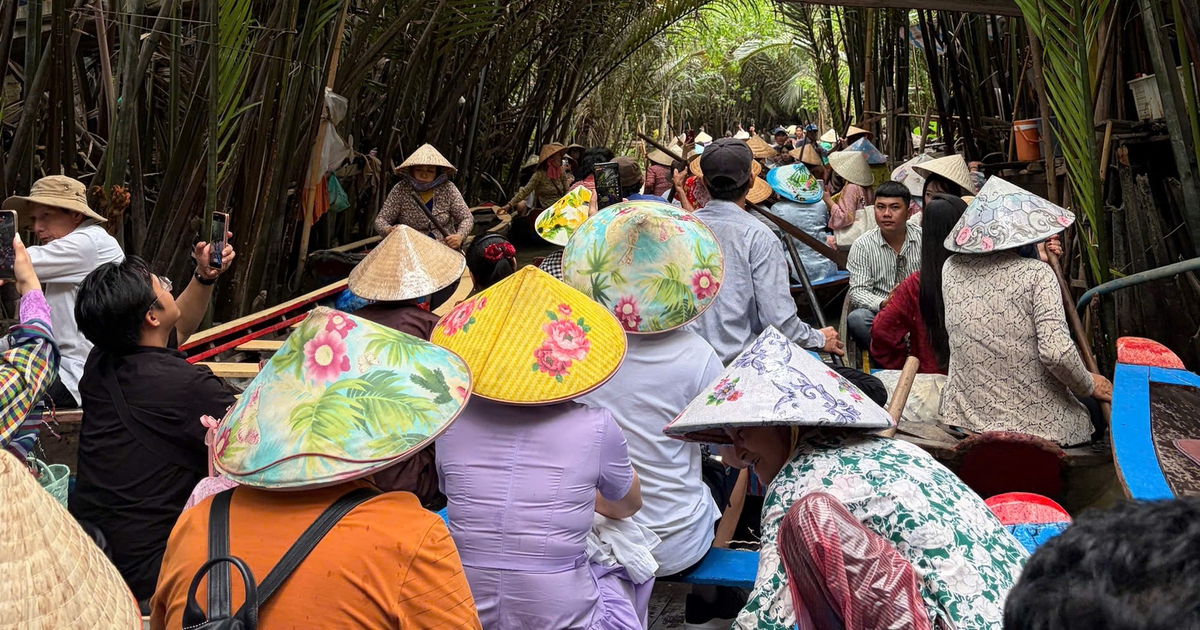 Tắc xuồng ba lá ở cồn Thới Sơn