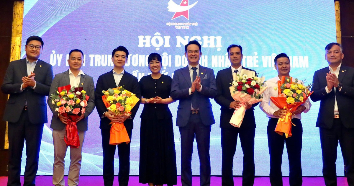 Kiện toàn 1 phó chủ tịch Hội Doanh nhân trẻ Việt Nam