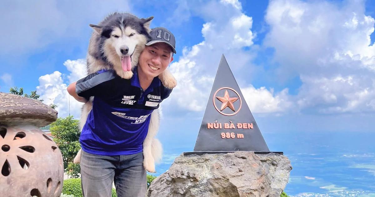 Ch&uacute; ch&oacute; Alaska 11 tuổi th&iacute;ch leo n&uacute;i: 4 lần chinh phục đỉnh B&agrave; Đen