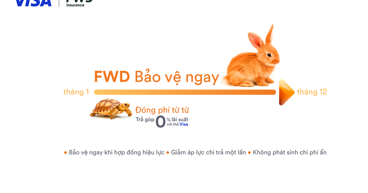 FWD hợp tác Visa mang giải pháp trả góp phí bảo hiểm linh hoạt tại Việt Nam