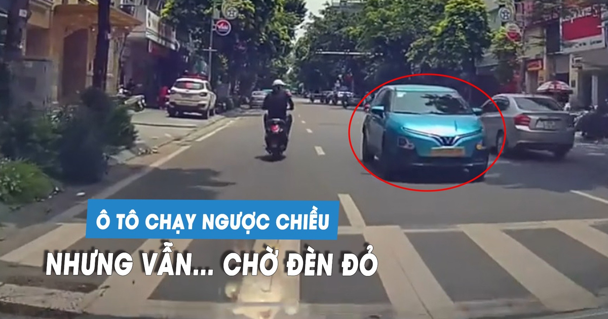 Ô tô con chạy ngược chiều, vẫn nghiêm túc dừng chờ đèn đỏ trên phố