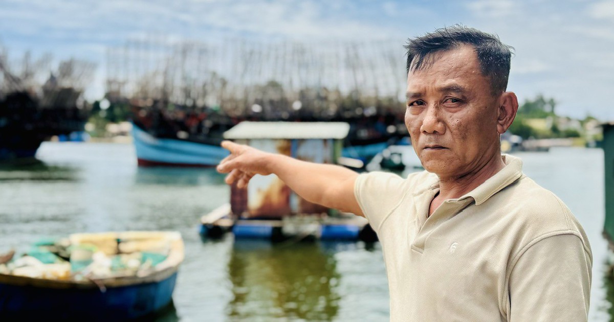 Quảng Ngãi: Ngư dân phải cho tàu dài trên 15 mét cập bến... ngoại tỉnh