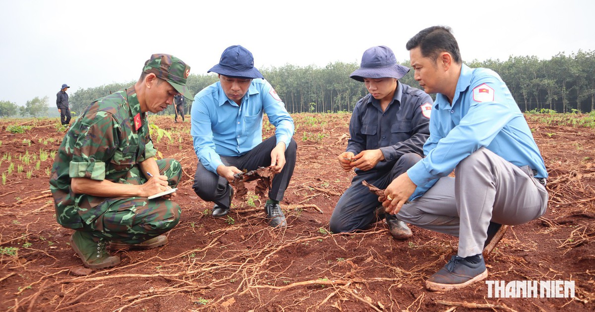 Đồng Nai: Ph&aacute;t hiện th&ecirc;m nhiều di vật, dấu hiệu xương cốt tại x&atilde; Minh Đức
