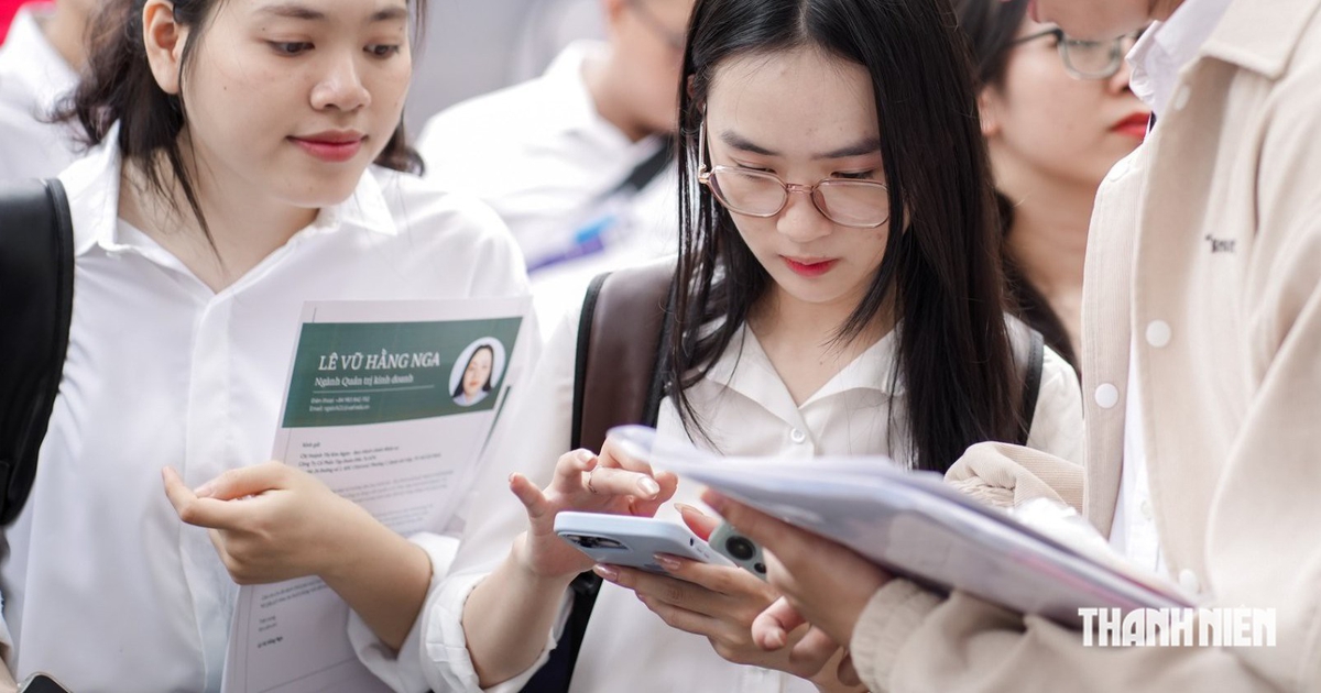 Có phải 'rải' CV càng nhiều, càng tăng cơ hội có việc làm?