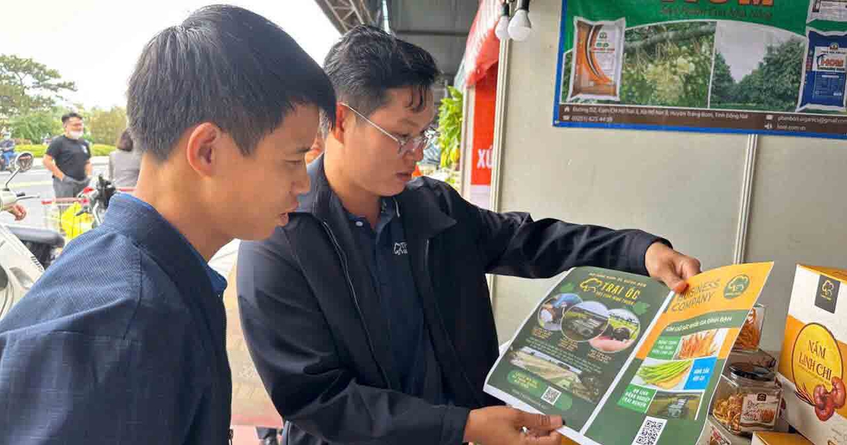 Cử nhân luật về quê nuôi ốc, doanh thu 200 triệu đồng/ngày