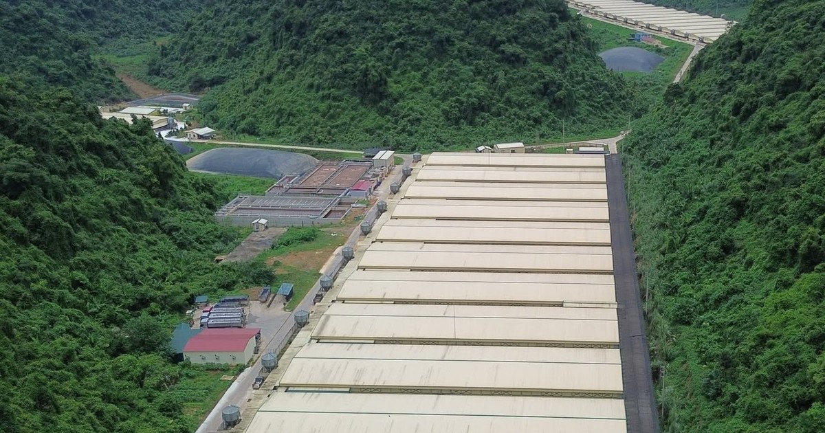5 người chết và 2 người bị thương trong trang trại Dabaco