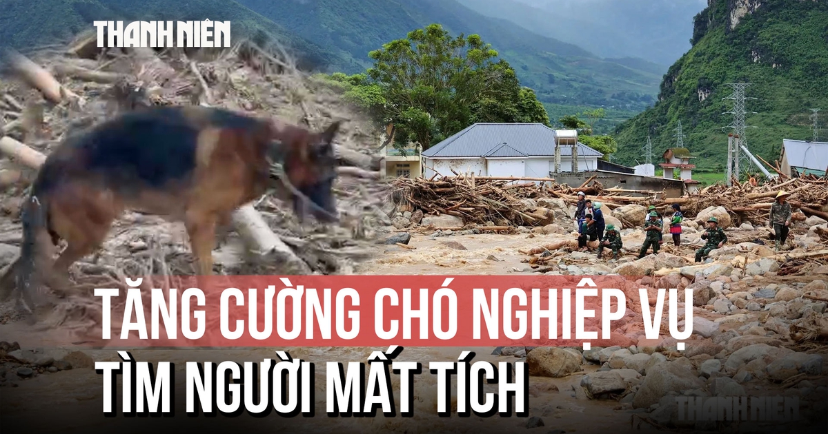 Huy động chó nghiệp vụ tìm kiếm nạn nhân mất tích tại Lai Châu