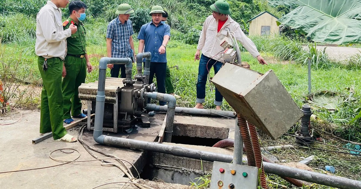 Điều tra toàn diện hoạt động trang trại nuôi lợn Dabaco