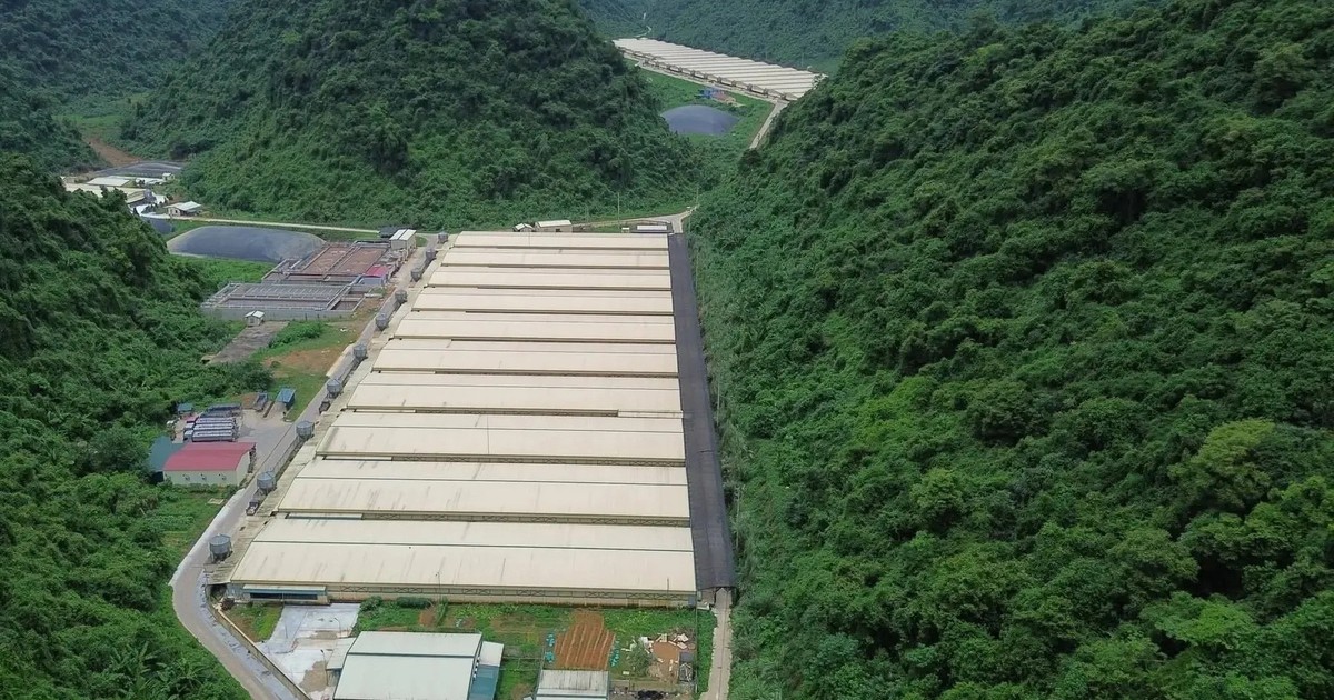 "Hội chứng búa tạ ở lò mổ" do ngộ độc cấp khí H2S
