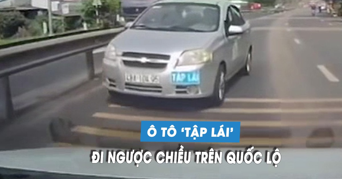 Xe tập lái chạy ngược chiều, tài xế bị CSGT phạt 19 triệu đồng