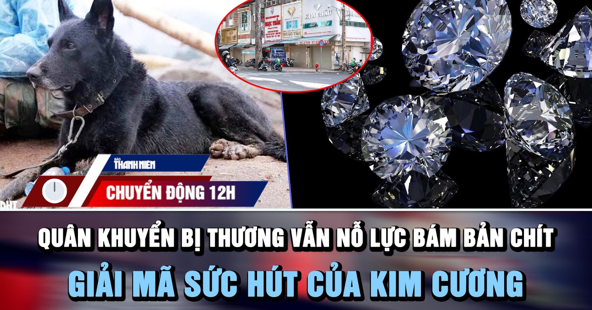 Chuyển động 12h: Quân khuyển bị thương vẫn nỗ lực bám bản Chít | Giải mã sức hút của kim cương