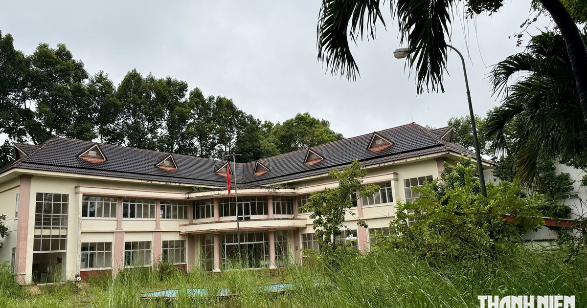 TP.HCM: Từ trụ sở bỏ hoang th&agrave;nh trường học khang trang, bộ đội tặng c&acirc;y hoa kiểng