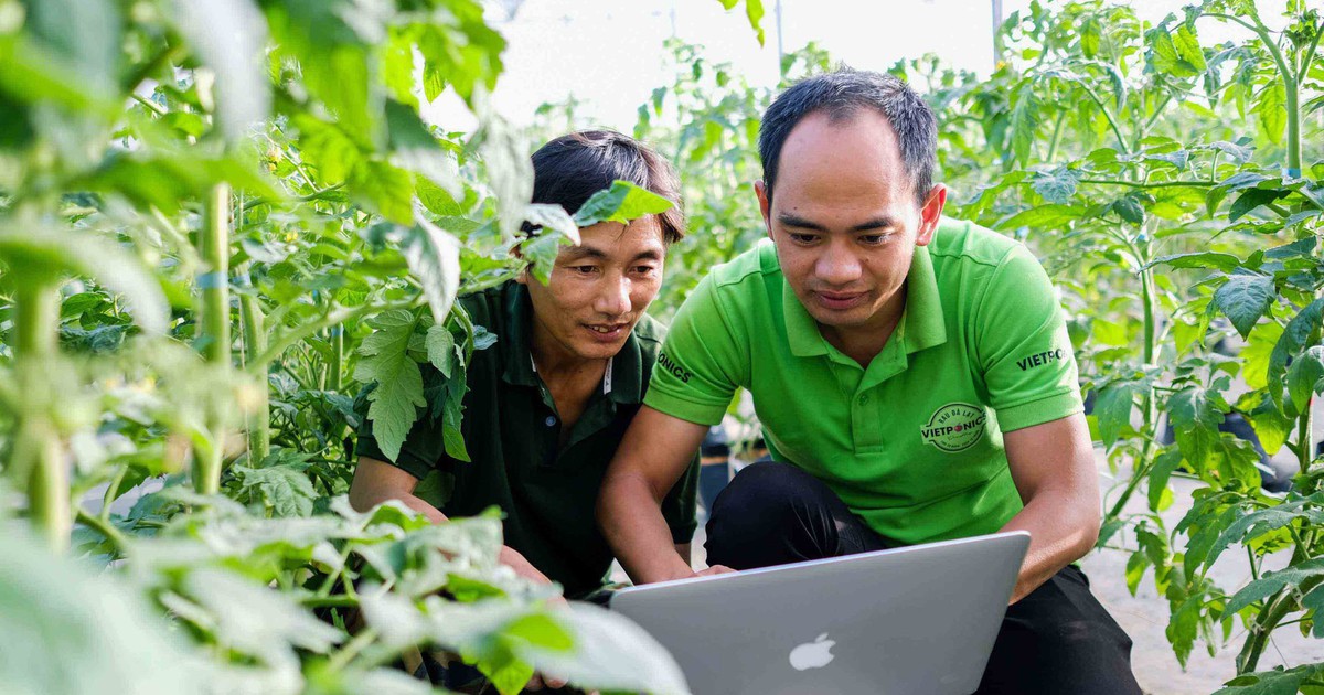 Nông nghiệp thông minh mang lại hiệu quả kinh tế cao