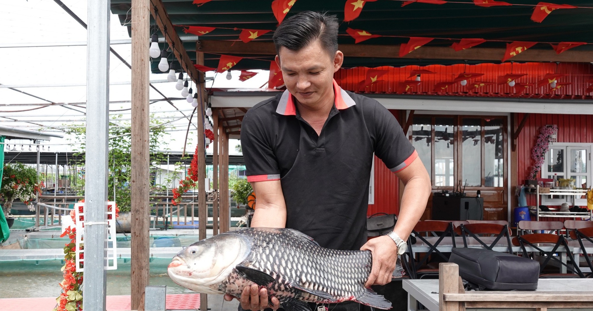 Bè nuôi cá thành điểm du lịch 'triệu view', chàng trai miền Tây thu nhập tiền tỉ