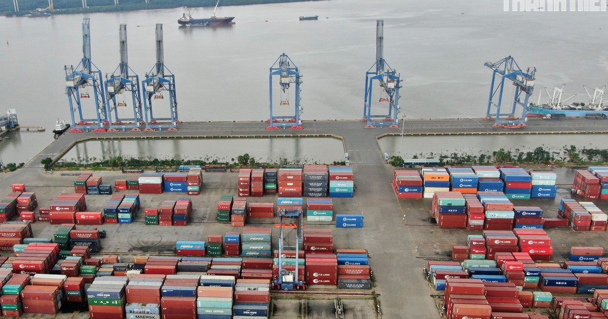 TP.HCM lên lộ trình di dời cảng biển khỏi trung tâm