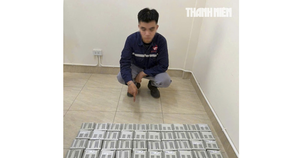C&ocirc;ng nh&acirc;n trộm thiết bị điện hơn 3 tỉ đồng b&aacute;n lấy tiền đ&aacute;nh bạc