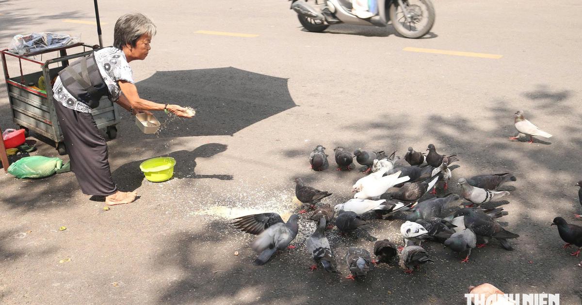 Hơn 10 năm gọi đ&agrave;n bồ c&acirc;u hoang l&agrave; 'con', người phụ nữ th&agrave;nh 'mẹ' của đ&agrave;n chim