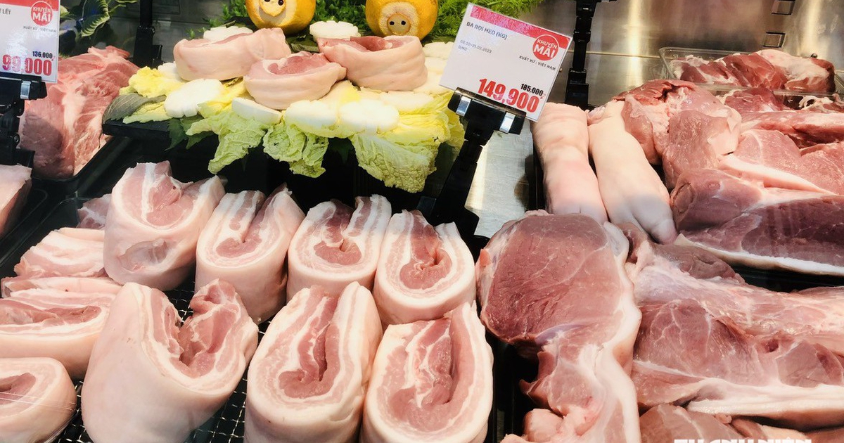 Giá heo hơi hôm nay 23.7.2026: Vùng đỉnh giảm