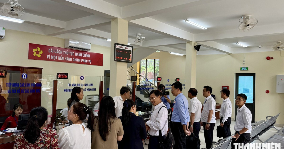 TP.HCM: 116 x&atilde;, phường được bổ sung 1 ph&ograve;ng chuy&ecirc;n m&ocirc;n