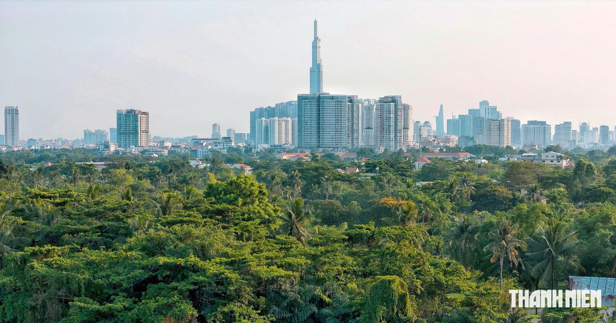 TP.HCM giảm gần 60.000 ha đất nông nghiệp trong 5 năm tới