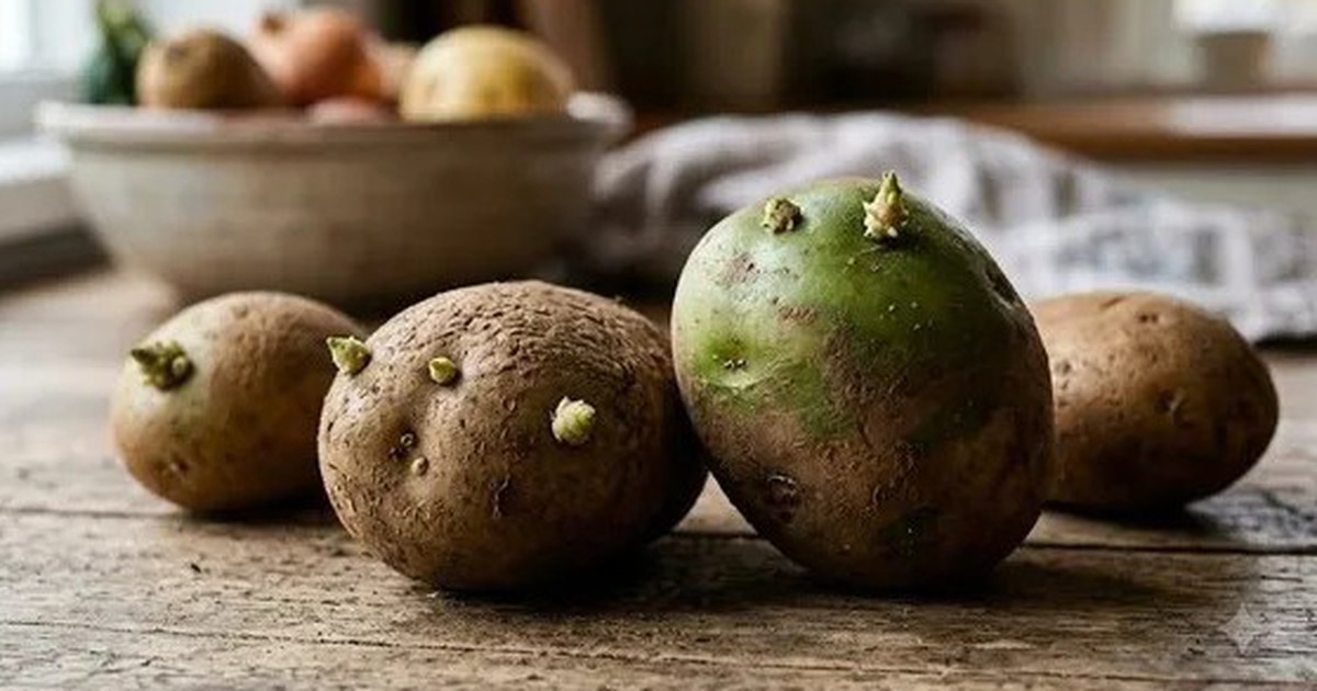 Cả nhà phải nhập viện sau khi ăn khoai tây mọc mầm, 1 người đã tử vong