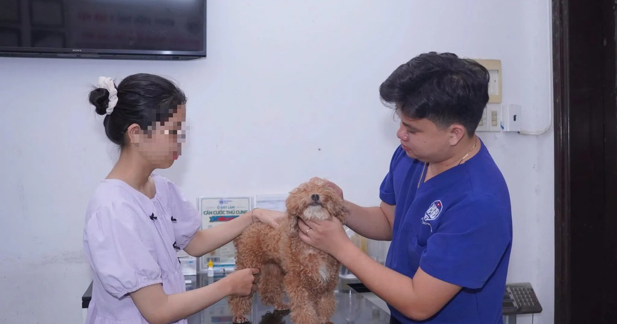 Cảnh báo nguy cơ lây bệnh truyền nhiễm sang người từ ve rận trên thú cưng